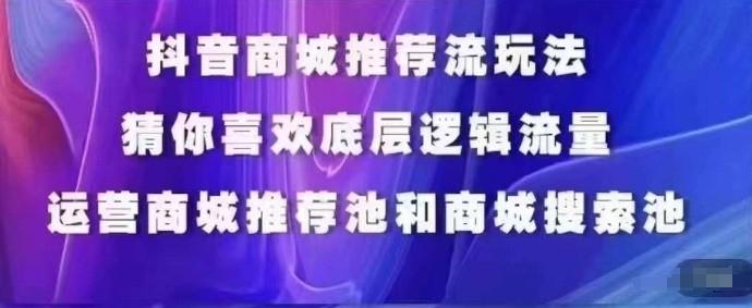 抖音商城运营课程，猜你喜欢入池商城搜索商城推荐人群标签覆盖-轻资本网