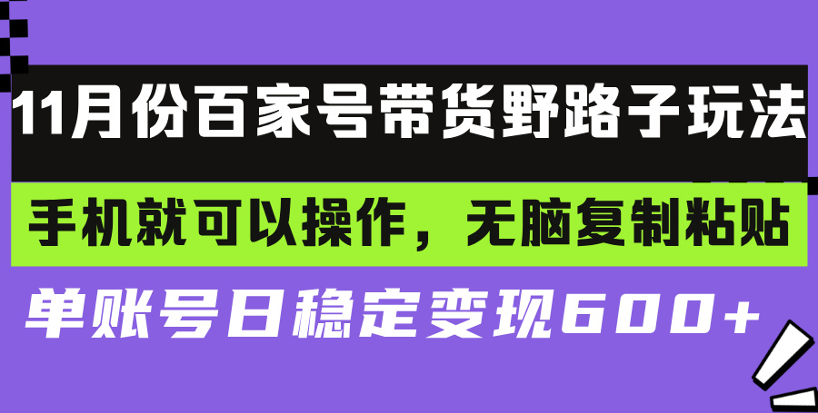 百家号带货野路子玩法 手机就可以操作，无脑复制粘贴 单账号日稳定变现…-轻资本网