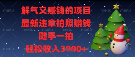 解气又挣钱的项目，最新违章拍照挣钱，随手一拍，轻松收入多张【揭秘】-轻资本网