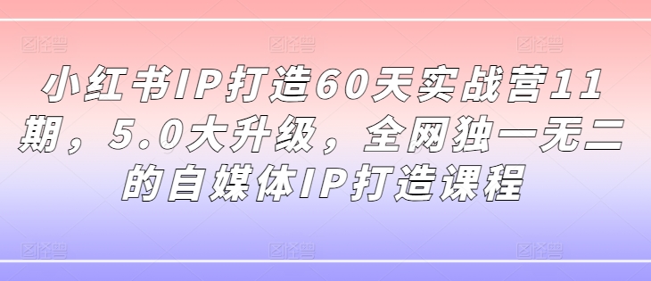 小红书IP打造60天实战营11期，5.0大升级，全网独一无二的自媒体IP打造课程-轻资本网