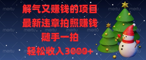 解气又挣钱的项目，最新违章拍照挣钱，随手一拍，轻松收入数张【揭秘】-轻资本网