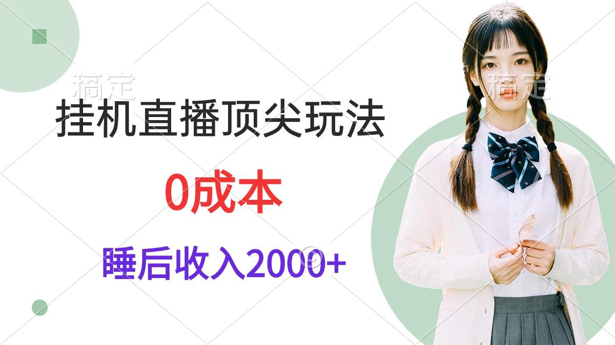 (9715期)挂机直播顶尖玩法，睡后日收入2000+、0成本，视频教学-轻资本网