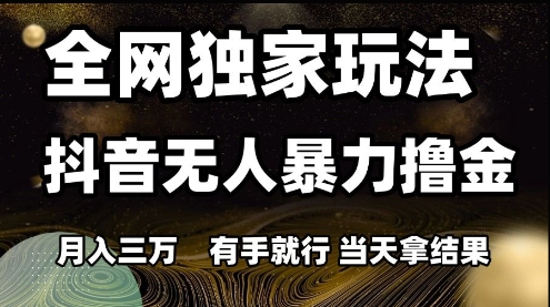 全网独家玩法抖音无人暴力撸金，月入3W，有手就行，当天拿结果【揭秘】-轻资本网