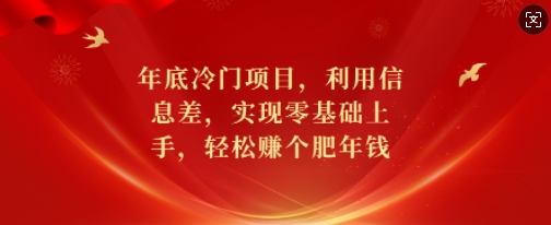 年底冷门项目，利用信息差，实现零基础上手，轻松赚个肥年钱【揭秘】-轻资本网