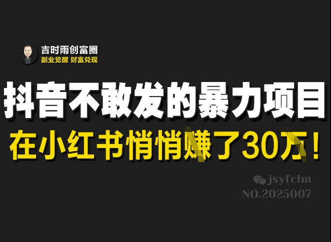 抖音不敢发的暴利项目，在小红书悄悄挣了30W-轻资本网