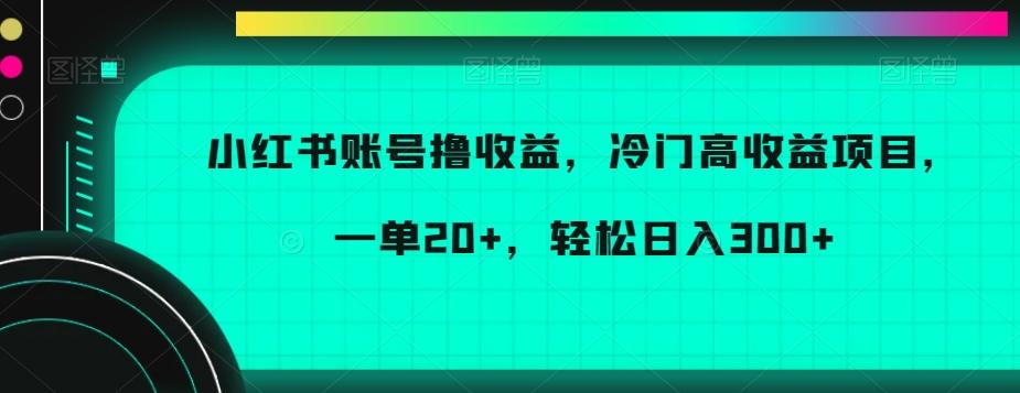 小红书账号撸收益，冷门高收益项目，一单20+，轻松日入300+【揭秘】-轻资本网