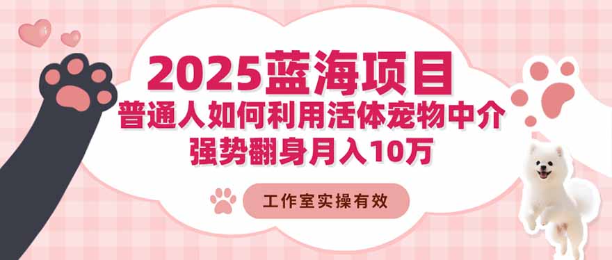 2025蓝海项目：普通人如何利用活体宠物中介，强势翻身月入10万-轻资本网