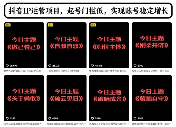 抖音IP运营项目，抖音今日主题玩法，起号门槛低，实现账号稳定增长-轻资本网