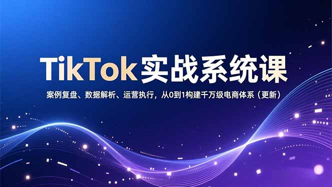 TikTok实战系统课，案例复盘、数据解析、运营执行，从0到1构建千万级电商体系(更新-轻资本网