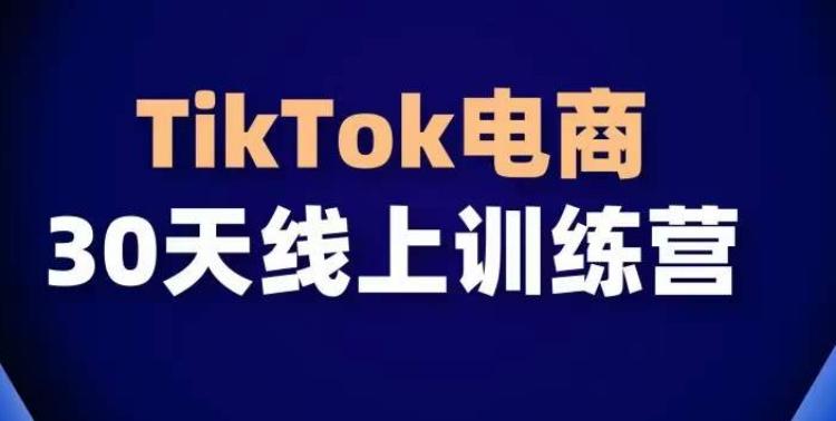 TikTok电商带货30天线上课，不可错过的全球流量洼地！-轻资本网