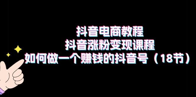 抖音电商教程：抖音涨粉变现课程：如何做一个赚钱的抖音号(18节-轻资本网