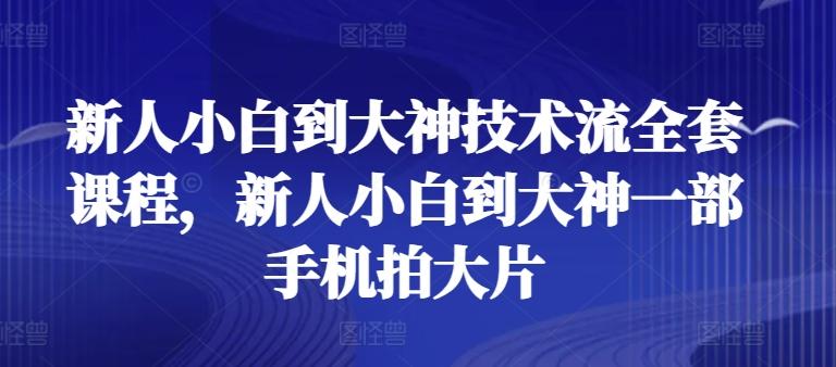 新人小白到大神技术流全套课程，新人小白到大神一部手机拍大片-轻资本网