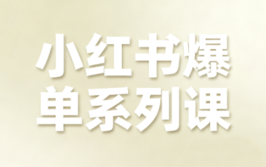尼采老师·小红书爆单系列课-轻资本网