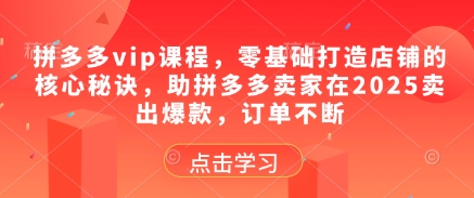 拼多多vip课程，零基础打造店铺的核心秘诀，助拼多多卖家在2025卖出爆款，订单不断-轻资本网
