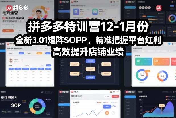 拼多多特训营12-1月份，全新3.01矩阵Sop，精准把握平台红利，高效提升店铺业绩-轻资本网