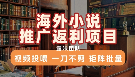 海外小说推广返利项目，视频投喂， 一刀不剪，矩阵批量-轻资本网
