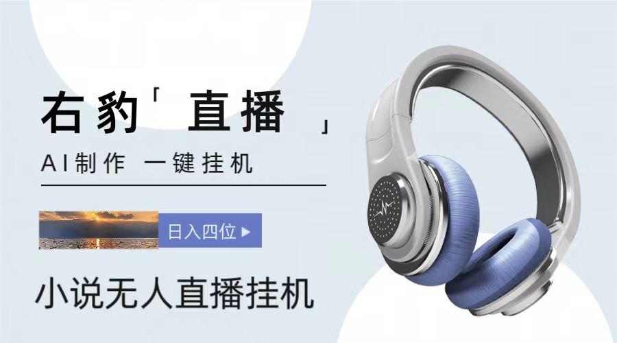 右豹小说无人直播挂机吸金项目，简单易行收益稳定， 月入1000+-轻资本网