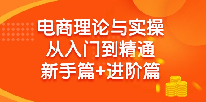 (9576期)电商理论与实操从入门到精通 新手篇+进阶篇-轻资本网