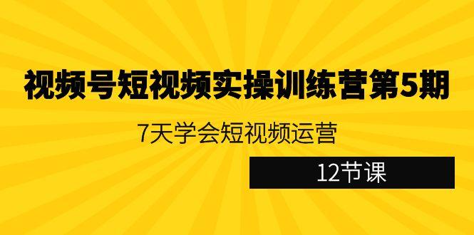视频号短视频实操训练营第5期：7天学会短视频运营(12节课)-轻资本网