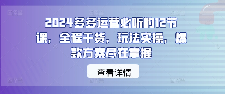 2024多多运营必听的12节课，全程干货，玩法实操，爆款方案尽在掌握-轻资本网