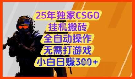 25年独家CSGO挂G搬砖，全自动操作，无需打游戏，小白日入3张+【揭秘】-轻资本网