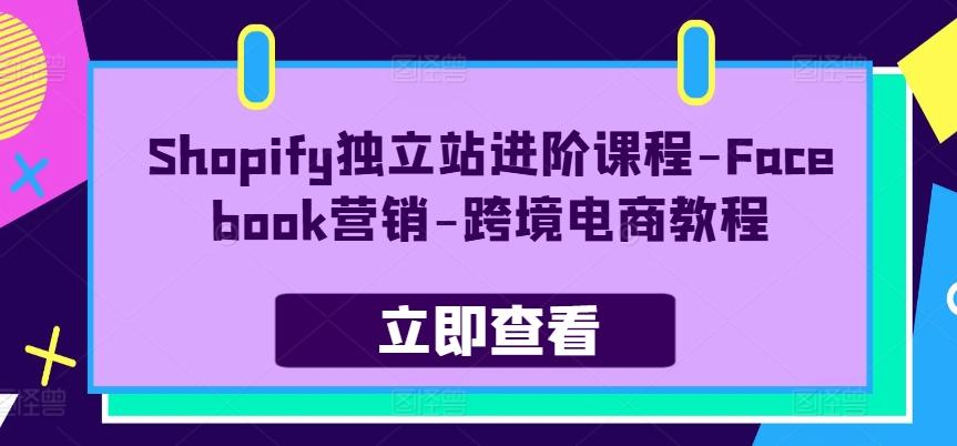 Shopify独立站进阶课程-Facebook营销-跨境电商教程-轻资本网