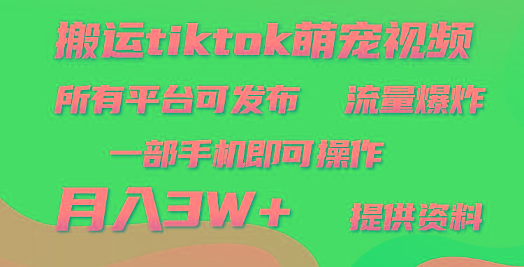 (9618期)搬运Tiktok萌宠类视频，一部手机即可。所有短视频平台均可操作，月入3W+-轻资本网