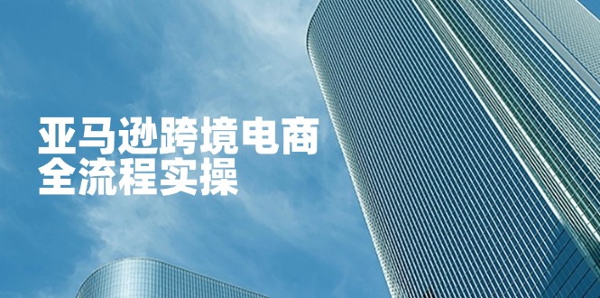 亚马逊跨境电商全流程实操，教你从零开始，掌握店铺运营与广告技巧-轻资本网