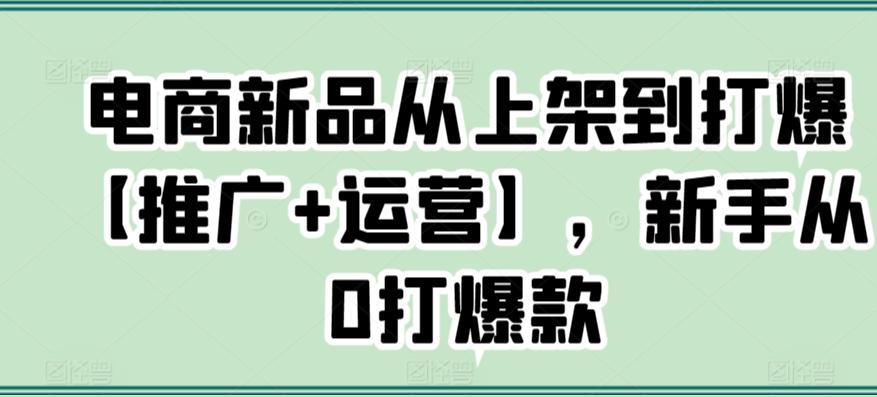 电商新品从上架到打爆【推广+运营】，新手从0打爆款-轻资本网