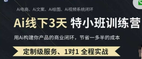 AI实操培训第20-21期线下，0基础保姆级教程，3月最新整理，企业获客、降本增效、打造超级个体-轻资本网