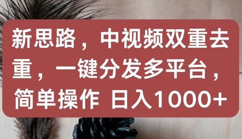 新思路，中视频双重去重，一键分发多平台，简单操作，日入1000+【揭秘】-轻资本网