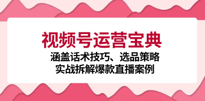 视频号运营宝典：涵盖话术技巧、选品策略、实战拆解爆款直播案例-轻资本网