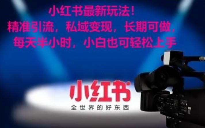 小红书最新玩法！精准引流，私域变现，长期可做，每天半小时，小白也可轻松上手-轻资本网