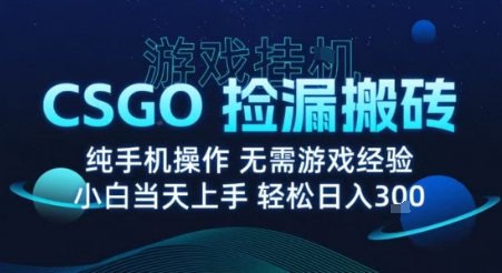 8月最新游戏搬砖，CSGO纯挂G，不需要玩游戏，实现真挂G，月入1W+【揭秘】-轻资本网