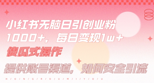 小红书无脑每日引流创业粉500+，小白每天只花半小时，躺赚长尾收益【揭秘】-轻资本网