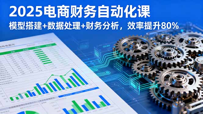 2025电商财务自动化课，模型搭建+数据处理+财务分析，效率提升80%-轻资本网
