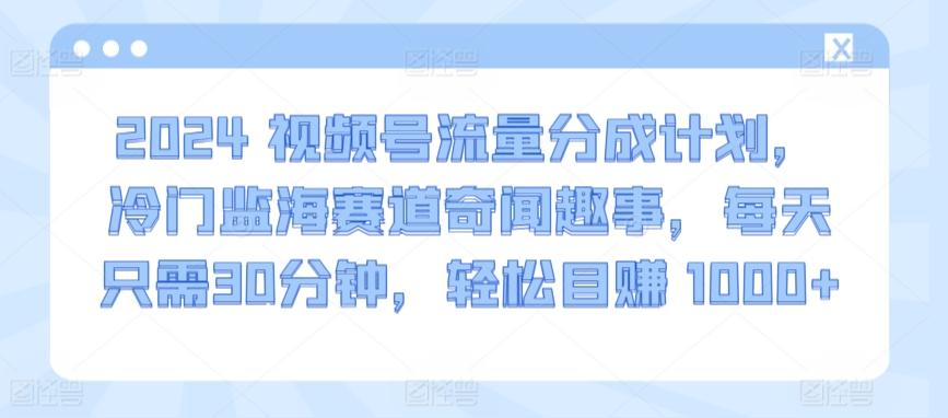 2024视频号流量分成计划，冷门监海赛道奇闻趣事，每天只需30分钟，轻松目赚 1000+【揭秘】-轻资本网