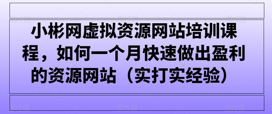 小彬网虚拟资源网站培训课程，如何一个月快速做出盈利的资源网站(实打实经验)-轻资本网