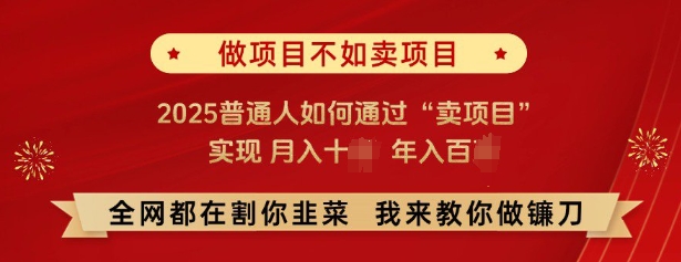 必看，做项目不如卖项目，2025普通人如何通过“卖项目”实现月入十个，年入百个-轻资本网
