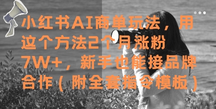 小红书AI商单玩法，用这个方法2个月涨粉7W+，新手也能接品牌合作(附全套指令模板)-轻资本网