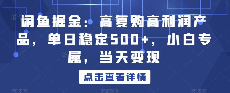 闲鱼掘金：高复购高利润产品，单日稳定500+，小白专属，当天变现-轻资本网