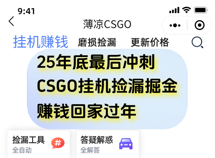 用CSGO游戏挂机捡漏掘金赚钱掘金，一部手机轻松日入500+-轻资本网