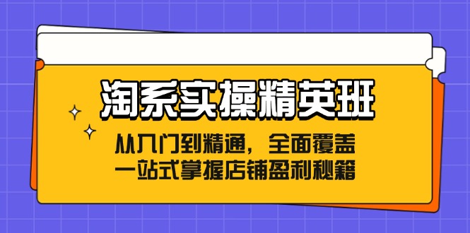 淘系实操精英班：从入门到精通，全面覆盖，一站式掌握店铺盈利秘籍-轻资本网