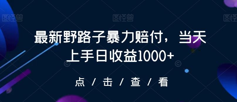 最新野路子暴力赔付，当天上手日收益1000+【仅揭秘】-轻资本网