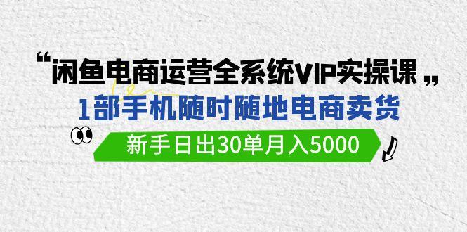 (9547期)闲鱼电商运营全系统VIP实战课，1部手机随时随地卖货，新手日出30单月入5000-轻资本网