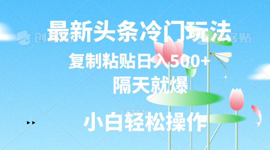 最新头条冷门玩法，隔天就爆，复制粘贴日入500+-轻资本网