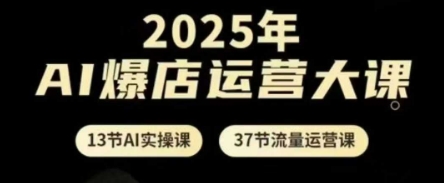 2025年AI爆店运营大课，13节AI实操课+37节流量运营课-轻资本网