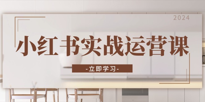 小红书实战运营课：从开通店铺到直播话术，打造爆款笔记与高效直播-轻资本网