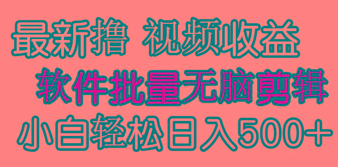 (9569期)发视频撸收益，软件无脑批量剪辑，第一天发第二天就有钱-轻资本网