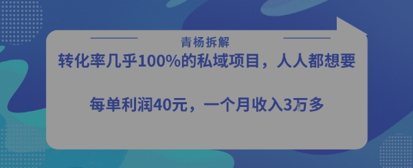 转化率最高的私域项目，每单利润40-50米，月入过1w-轻资本网